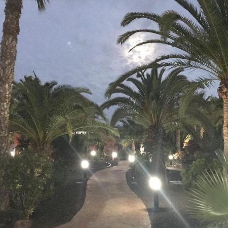 My Pretty Home - Lovely And Spacious Surrounded By Tropical Gardens - Private Covered And Uncovered Terrace - Pool - Parking - Free Fibre Optic Internet Corralejo Luaran gambar