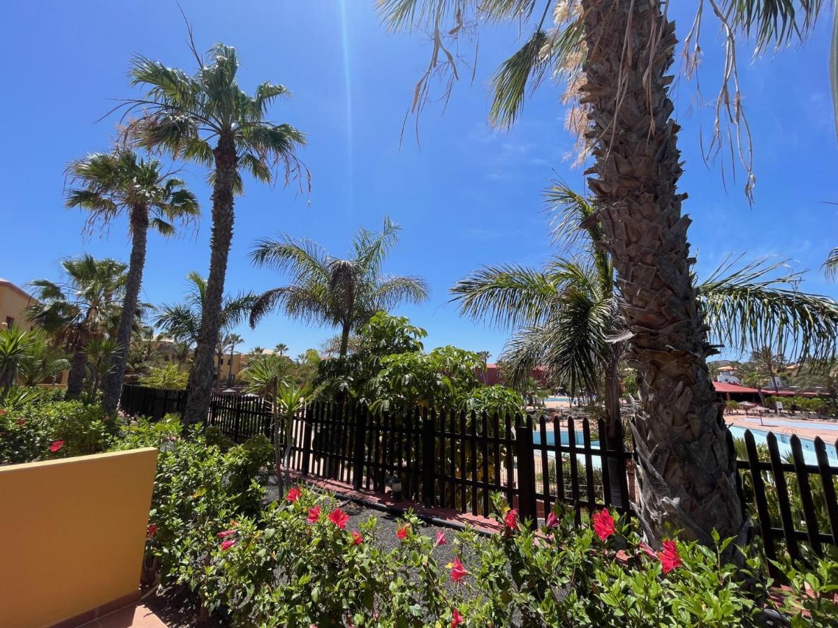 My Pretty Home - Lovely And Spacious Surrounded By Tropical Gardens - Private Covered And Uncovered Terrace - Pool - Parking - Free Fibre Optic Internet Corralejo Luaran gambar