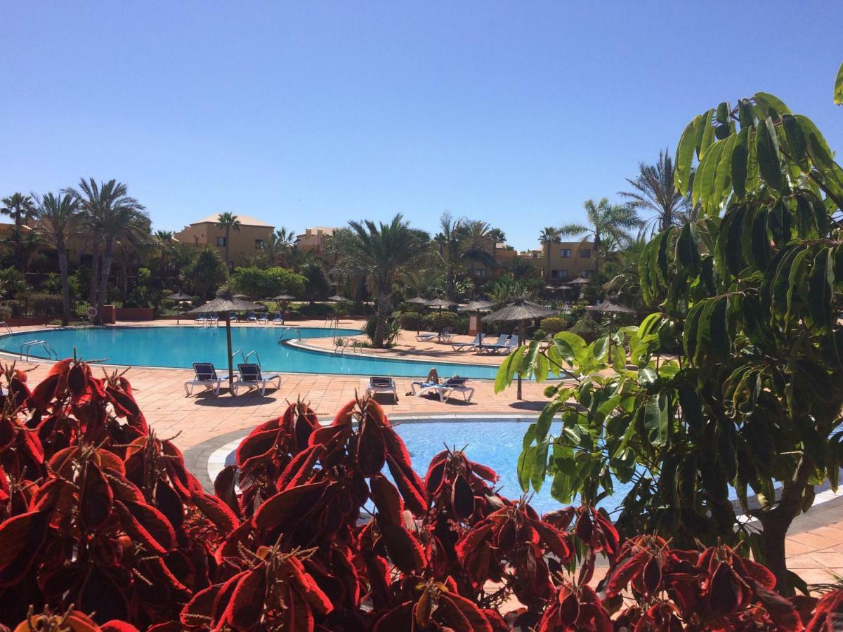My Pretty Home - Lovely And Spacious Surrounded By Tropical Gardens - Private Covered And Uncovered Terrace - Pool - Parking - Free Fibre Optic Internet Corralejo Luaran gambar