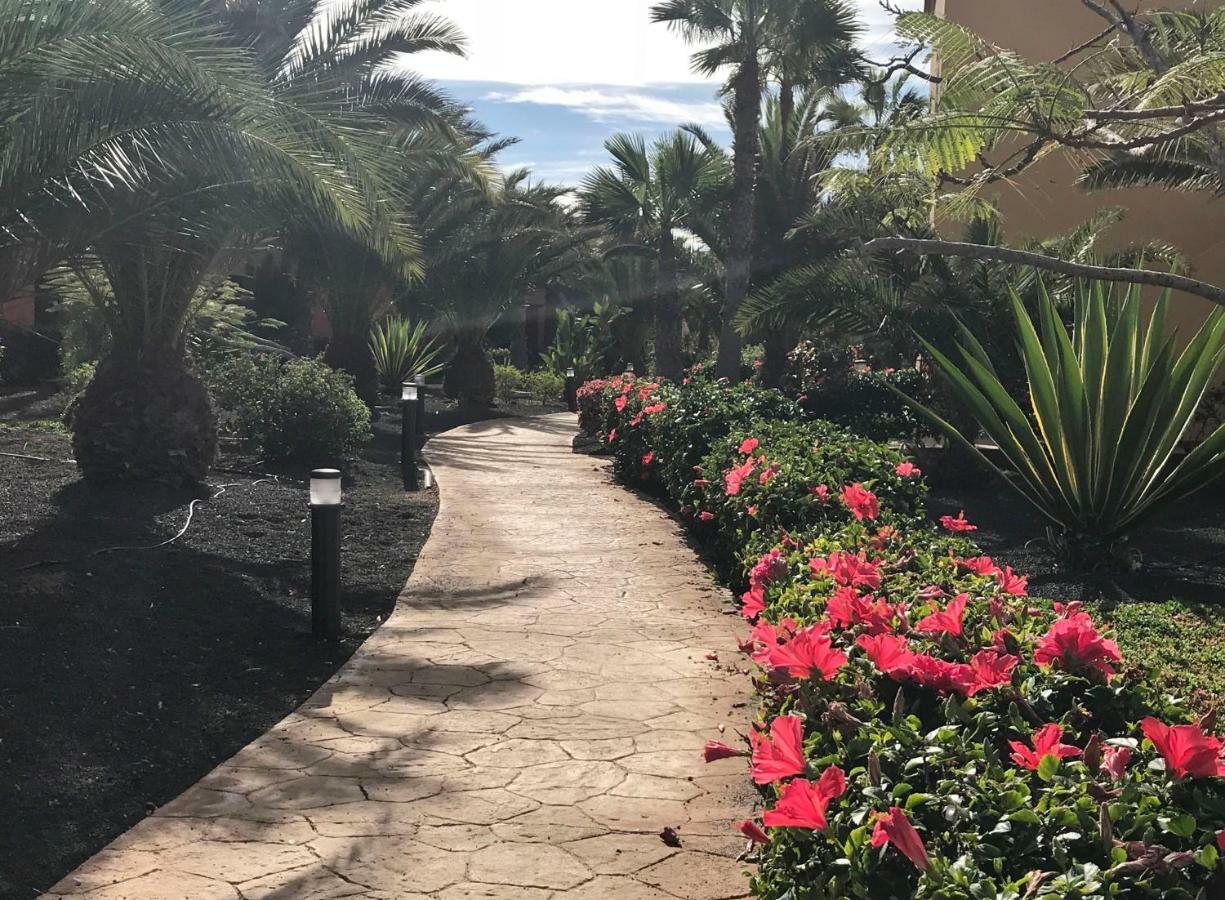 My Pretty Home - Lovely And Spacious Surrounded By Tropical Gardens - Private Covered And Uncovered Terrace - Pool - Parking - Free Fibre Optic Internet Corralejo Luaran gambar