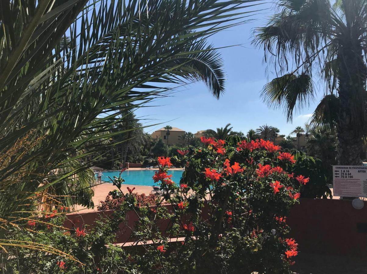 My Pretty Home - Lovely And Spacious Surrounded By Tropical Gardens - Private Covered And Uncovered Terrace - Pool - Parking - Free Fibre Optic Internet Corralejo Luaran gambar